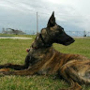 Meet your Posher, James